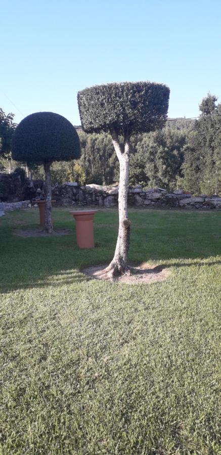 Vivenda Agostinho Villa Arcos de Valdevez Eksteriør billede
