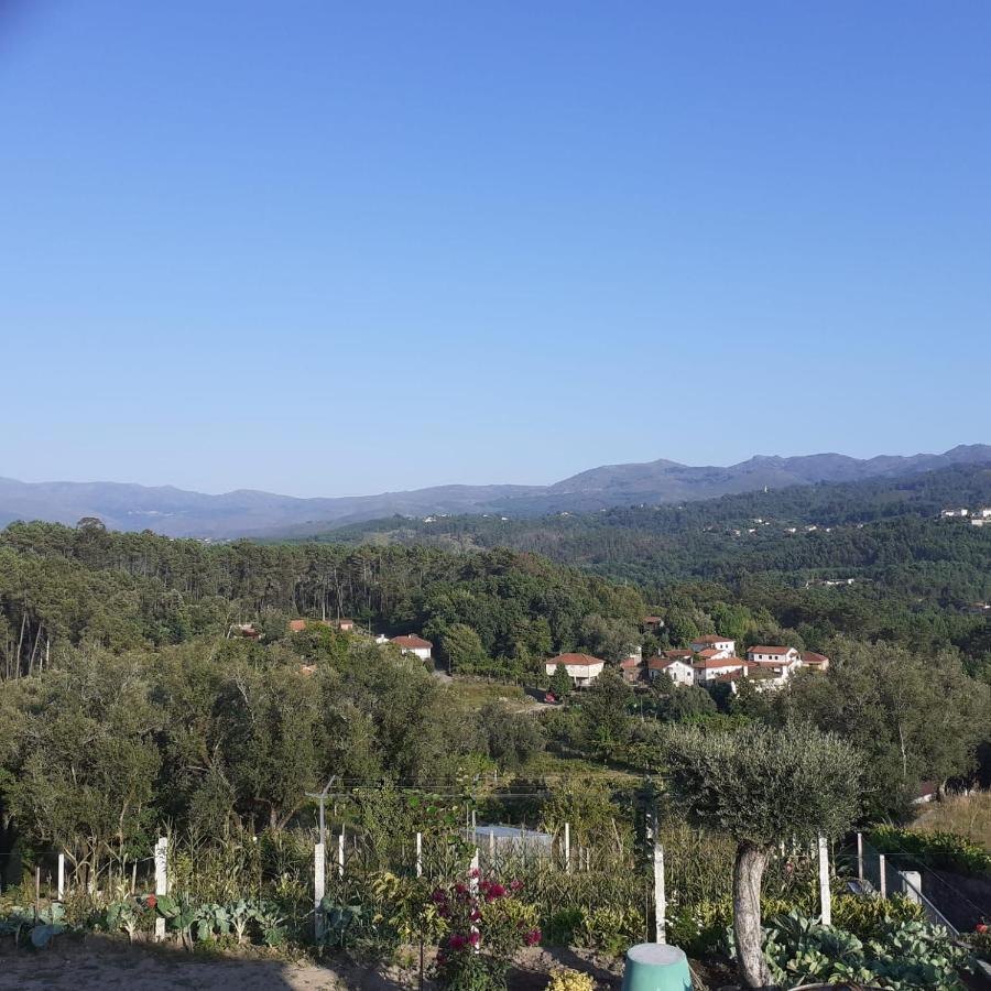 Vivenda Agostinho Villa Arcos de Valdevez Eksteriør billede